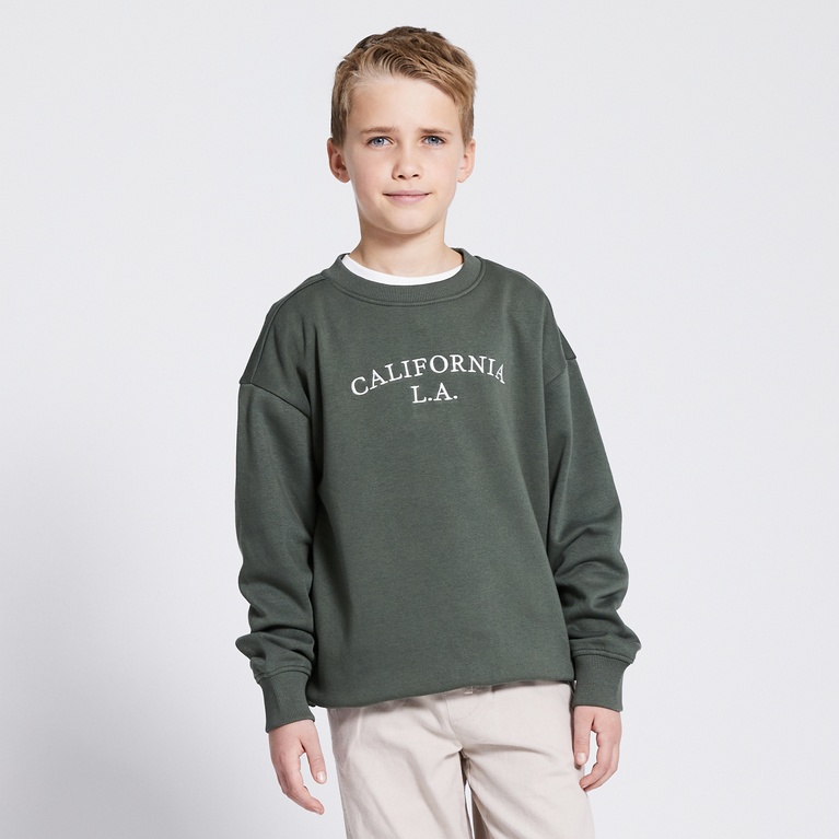 Printed Sweatshirt "Vilgot"